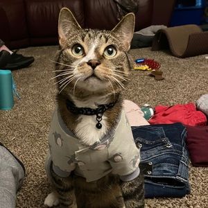 Meet your Posher, Angela